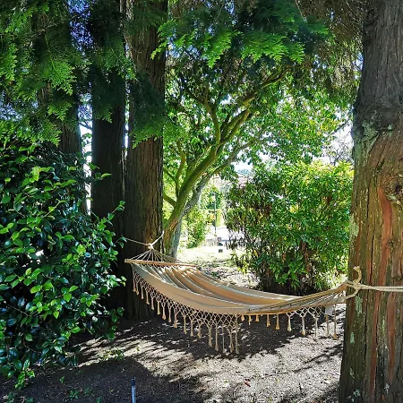 Quinta S. Romao Do Neiva