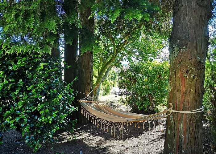 Quinta S. Romao Do Neiva