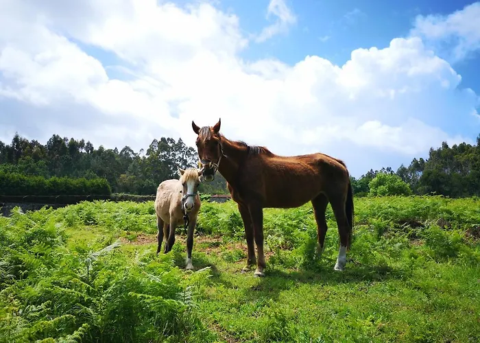 Quinta S. Romao Do Neiva Casa vacanze