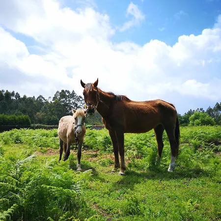 Quinta S. Romao Do Neiva 度假居
